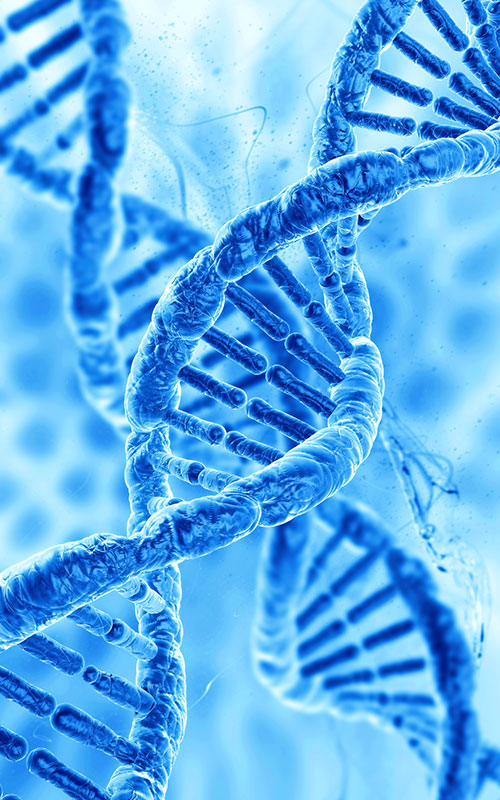 Anhua Bio, PDRN Ürününü Piyasaya Sürüyor: Doku Yenileme Hammaddelerinin Küresel Tedarik Zincirinin Sentetik Biyoloji ile Yeniden Oluşturulması